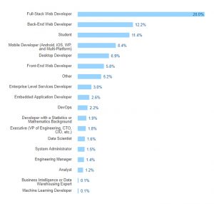 What Makes A Full Stack Developer The Need Of The Hour?